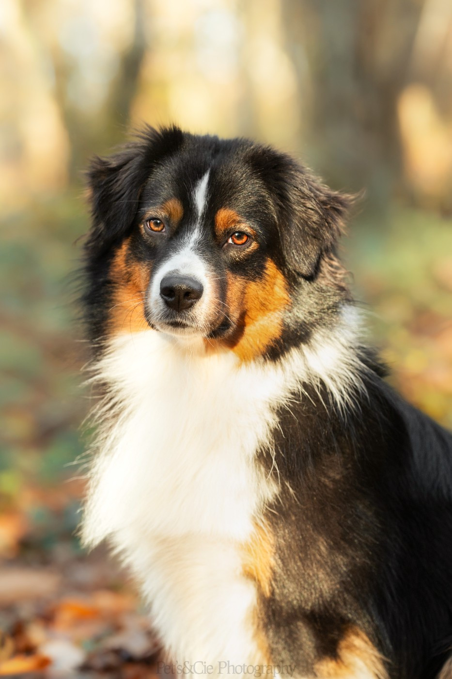 Vaiko Des Mini Truffes Du Perigord
